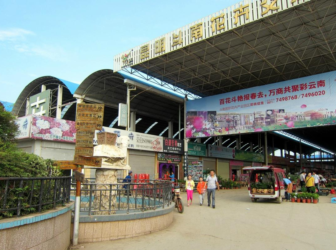 斗南路花市-呈贡县必去景点