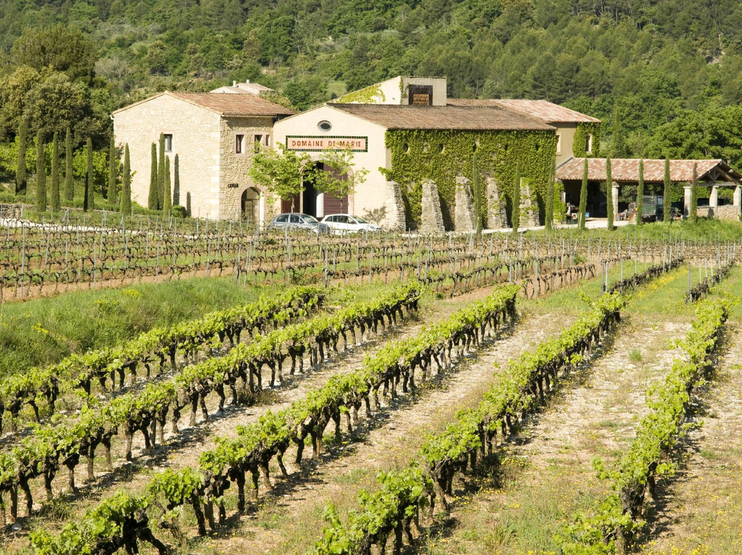 Domaine de Marie - Caveau Luberon/Provence景点图片
