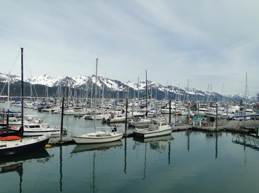 Seward Boat Harbor-苏厄德必去景点