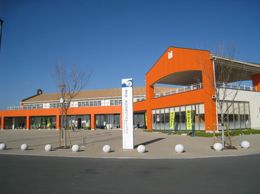 Michi-no-Eki Akabane Loco Station景点图片