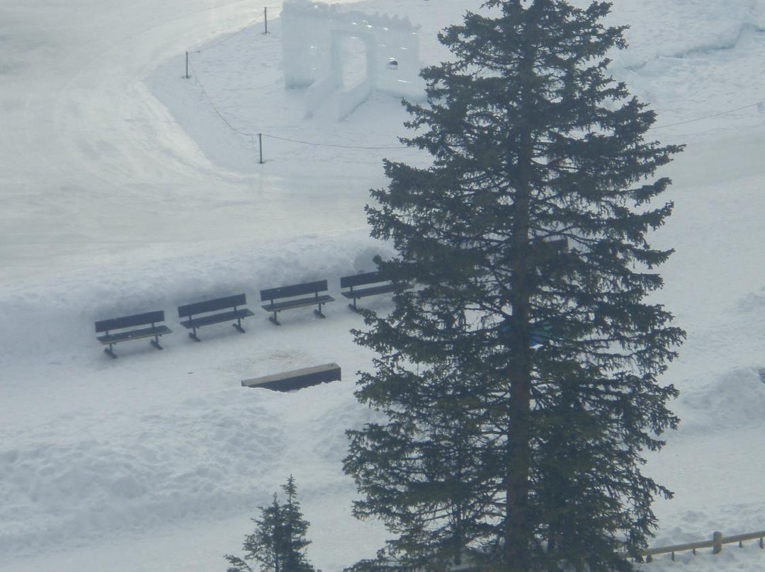 Fairmont Chateau Lake Louise景点图片