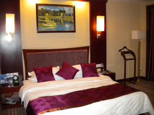 最佳西方莆田恒丰大酒店-客卧