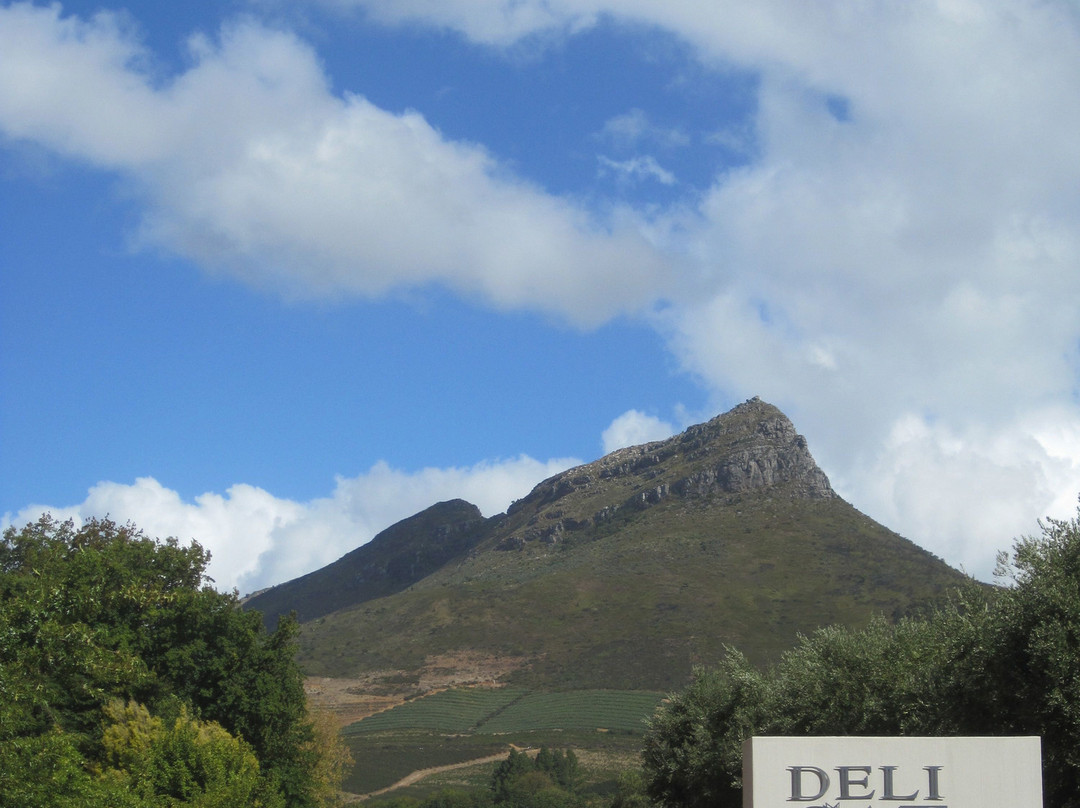 Tokara Wine Estate-斯泰伦博斯必去景点