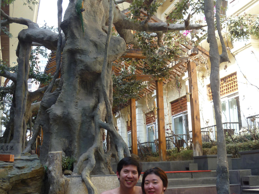 汉拿山汤泉国际酒店 主图