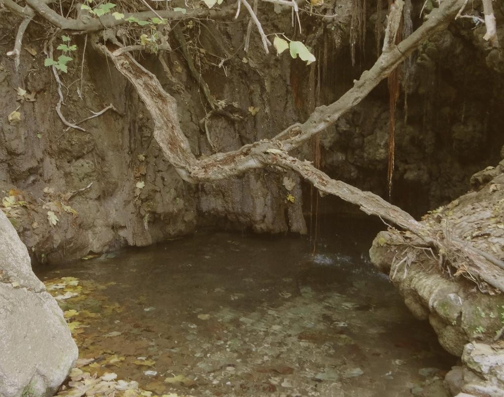 Latsi Beach-Latchi必去景点