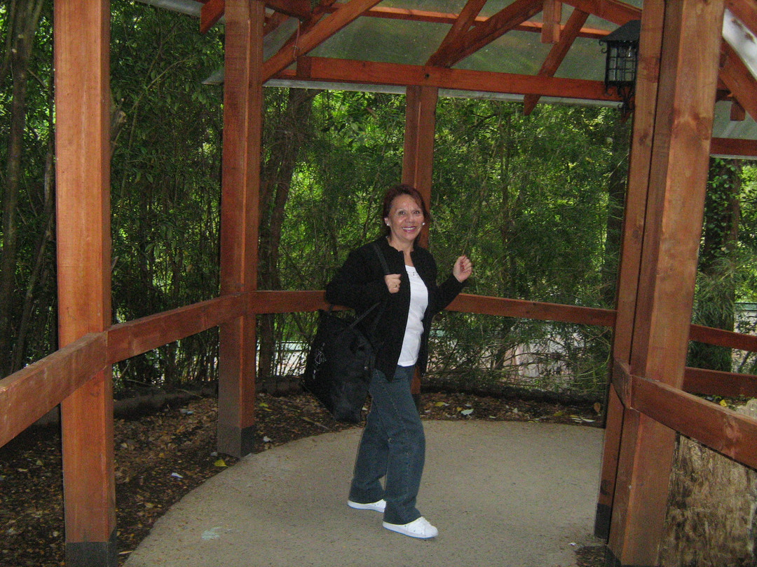 Termas y cabanas Aguas Calientes-Osorno必去景点