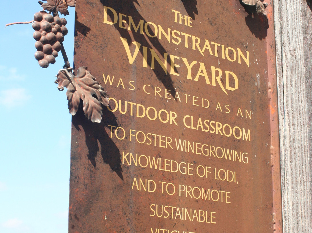 Lodi Wine & Visitor Center-洛迪必去景点