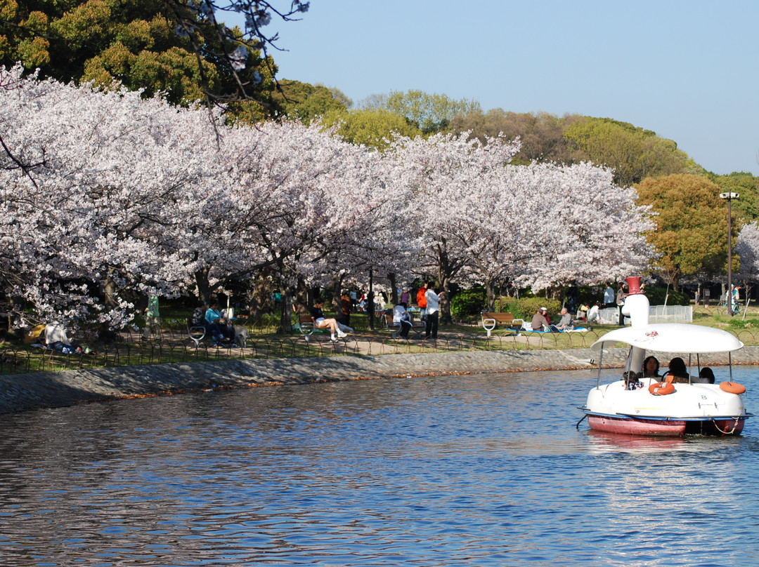 Akashi Park景点图片