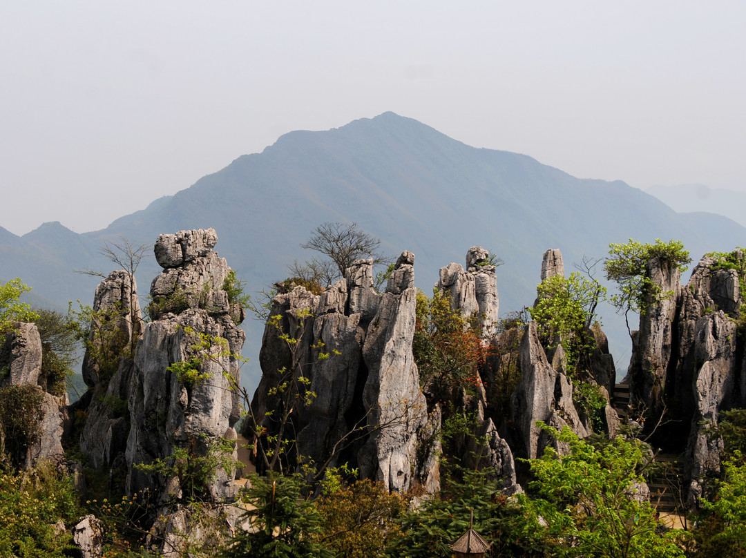 重庆华蓥山景点图片