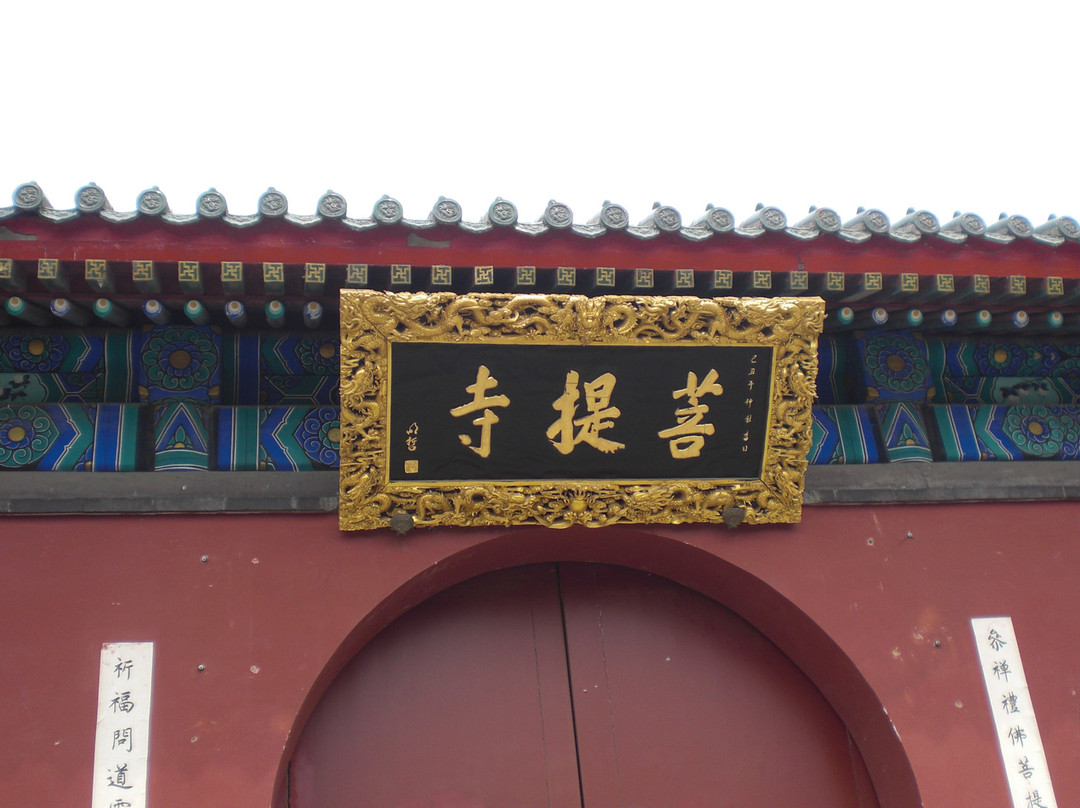 小珠山森林公园-青岛市必去景点