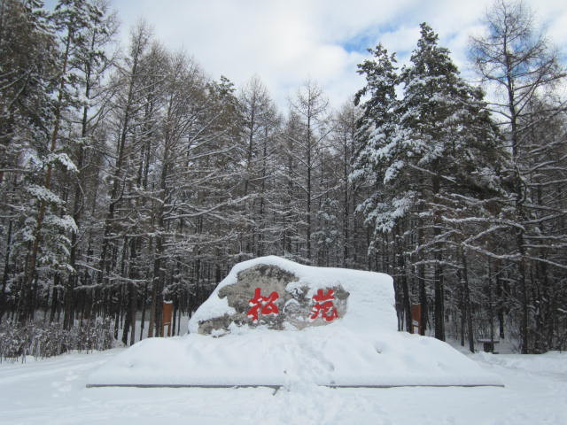 松苑森林公园-漠河县必去景点