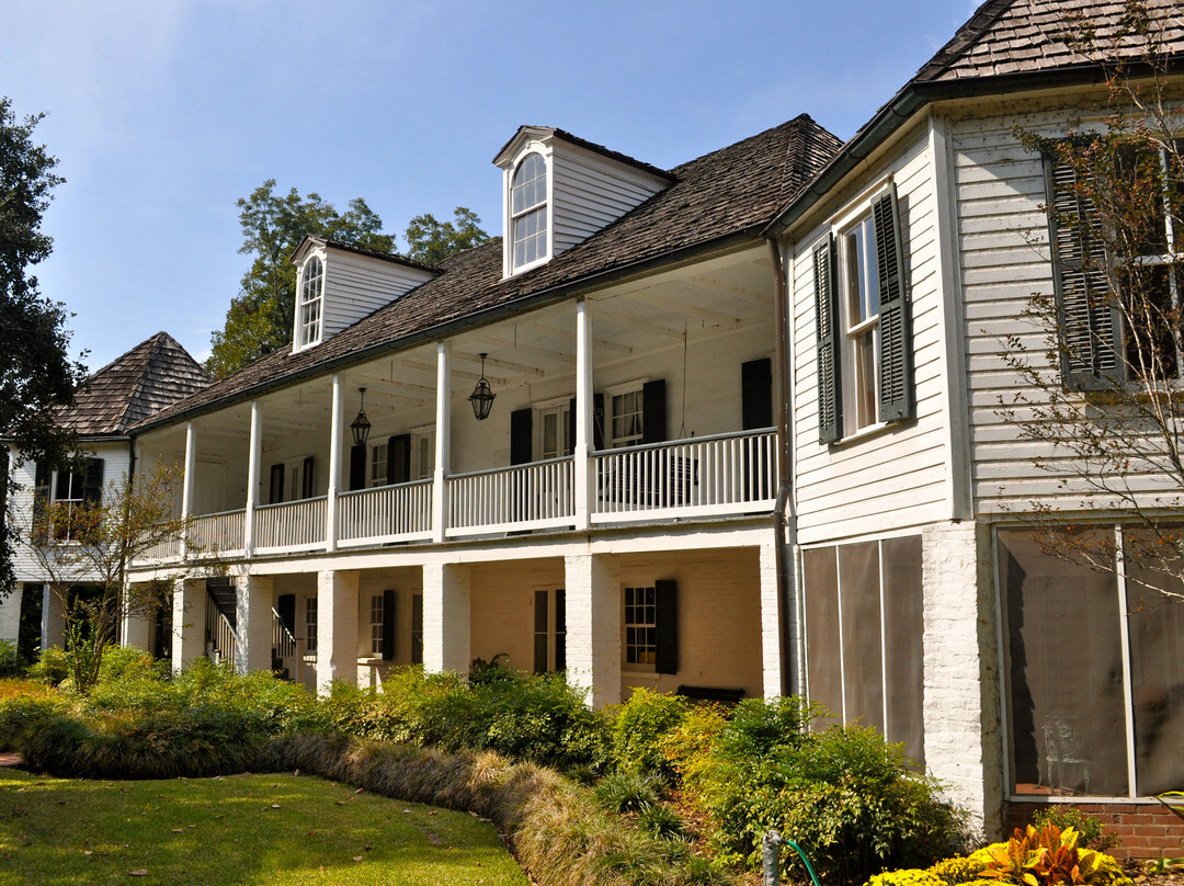 Melrose On The Cane (melrose Plantation)景点图片