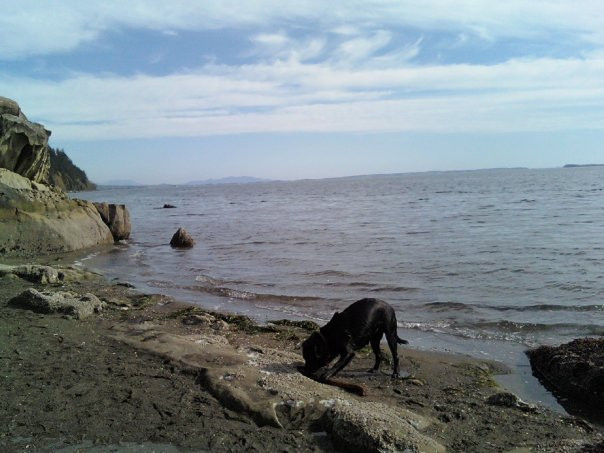 Clayton Beach-贝灵厄姆必去景点