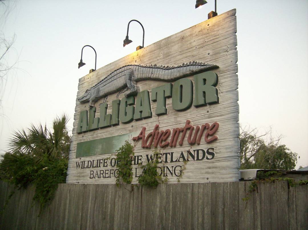 Alligator Adventure-美特尔海滩必去景点