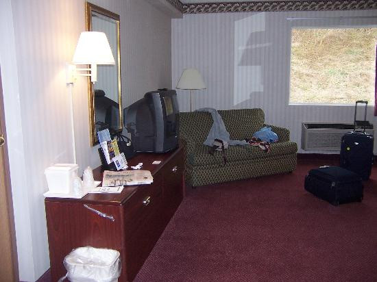 Wingate by Wyndham New Stanton主图