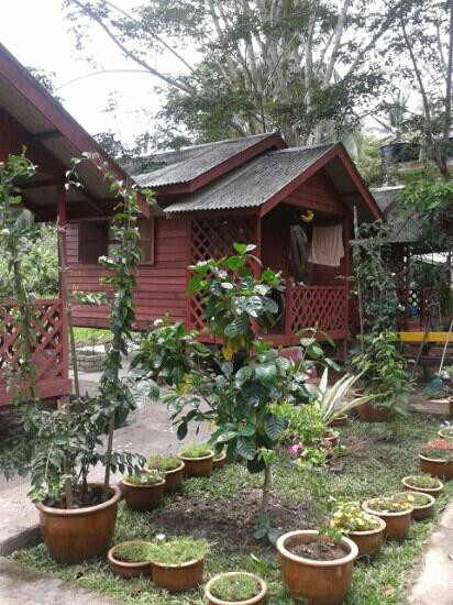 Mommie's Guest House