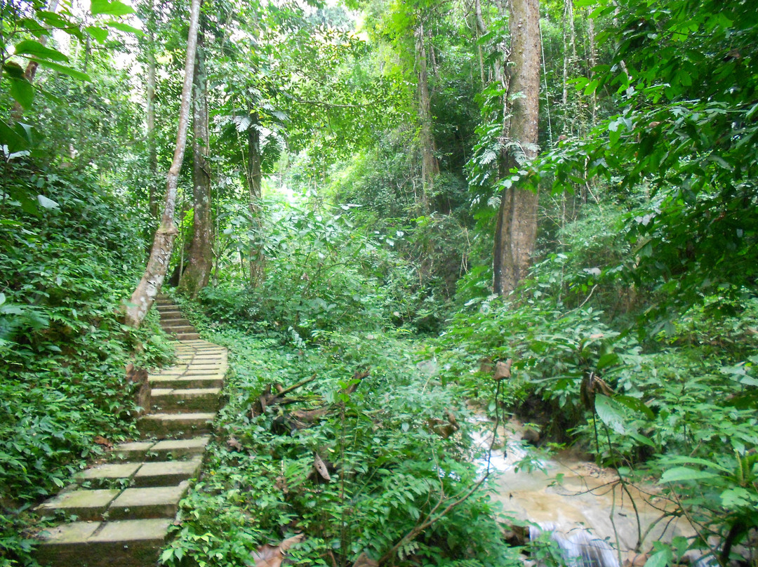 Tad Thong Waterfall-琅勃拉邦必去景点