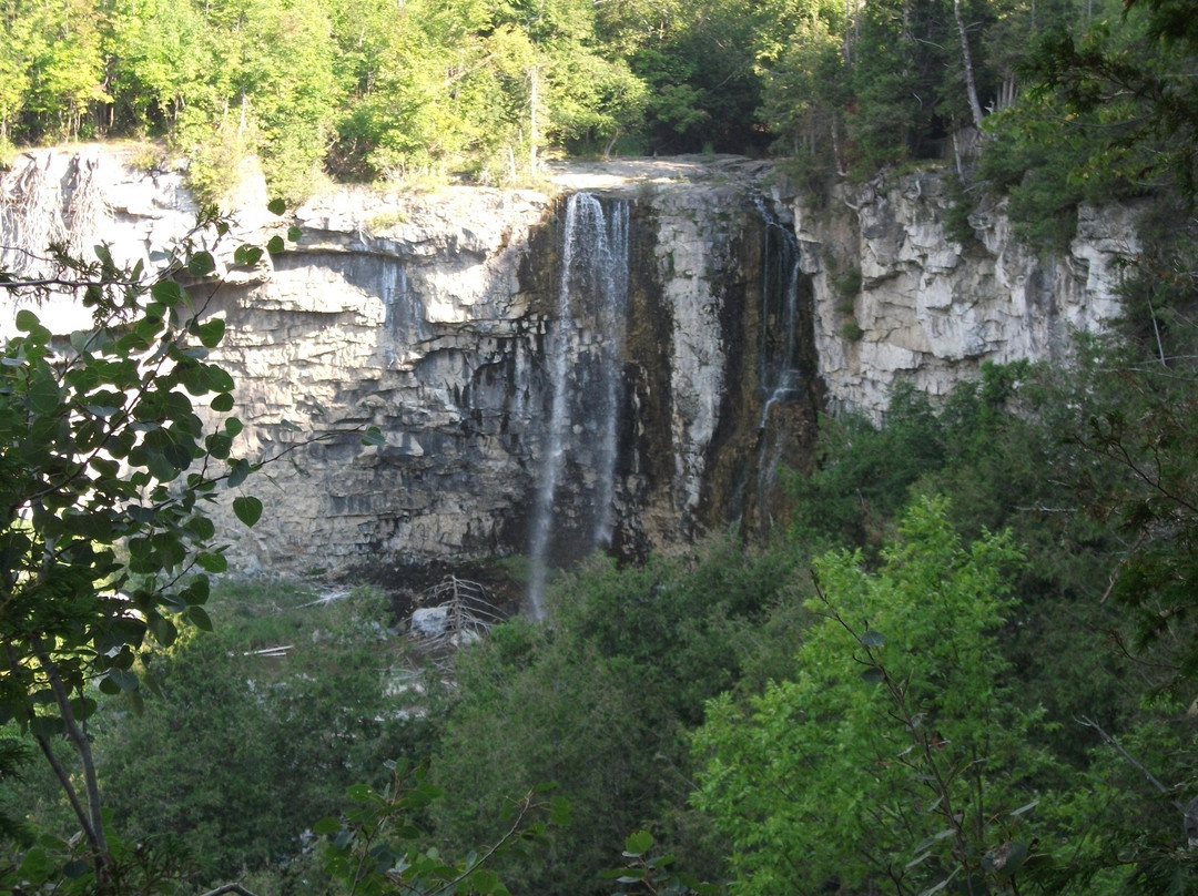 Eugenia Falls Conservation Area景点图片