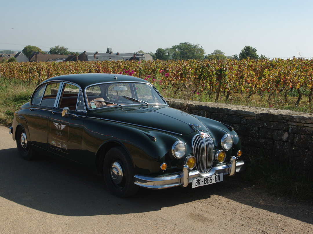Old Cars Tour景点图片