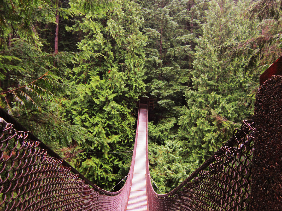 Lynn Canyon Suspension Bridge-北温哥华必去景点