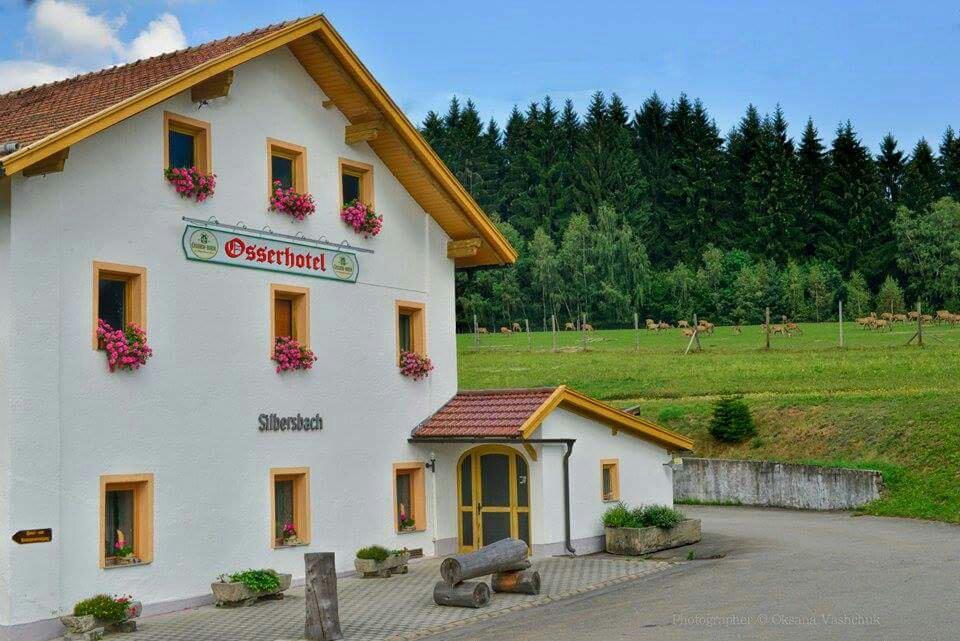 Osserhotel-客卧
