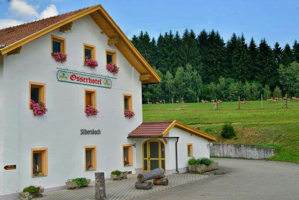 Nyrsko酒店住宿-Osserhotel