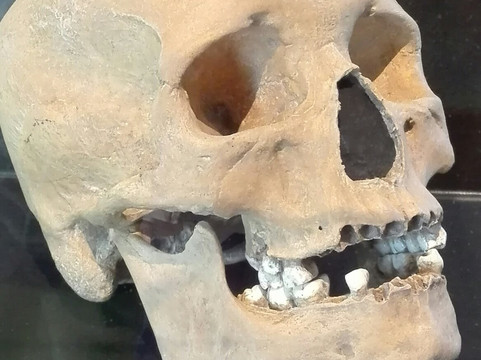 Musée de la Préhistoire du Vercors-Vassieux-en-Vercors必去景点