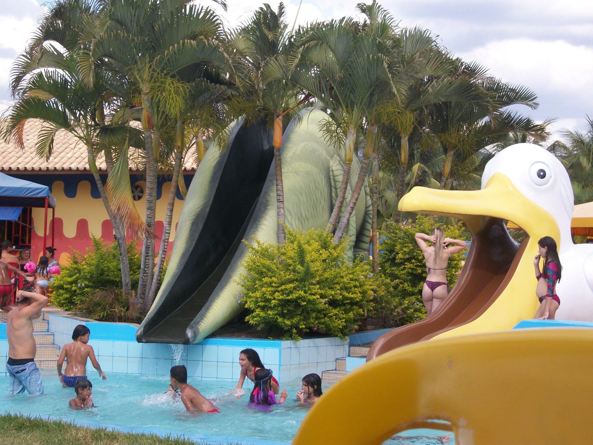 Fiesta Park Hotel-泳池