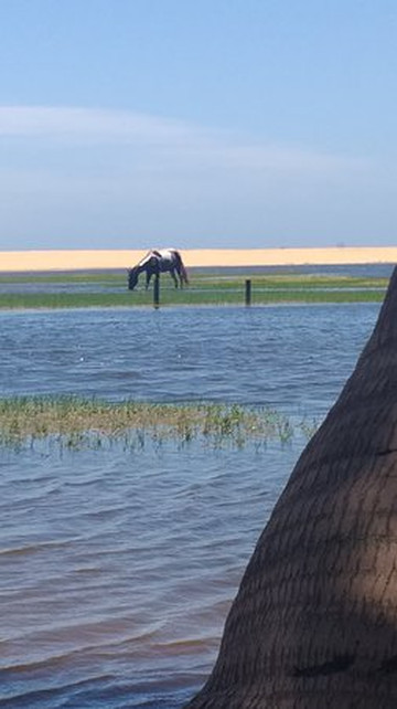 Lagoa de Iquipari-Sao Joao Da Barra必去景点