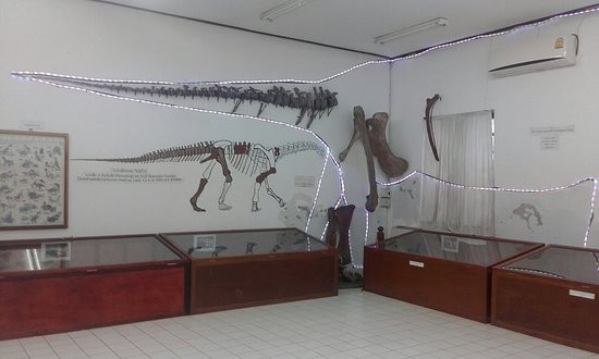 The Savannakhet Dinosaur Museum景点图片