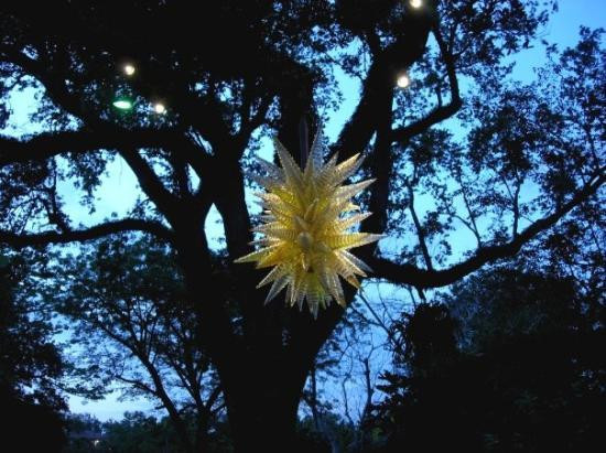 Fairchild Tropical Botanic Garden-科勒尔盖布尔斯必去景点