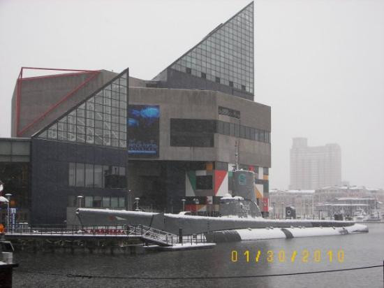 巴尔的摩国家水族馆-巴尔的摩必去景点