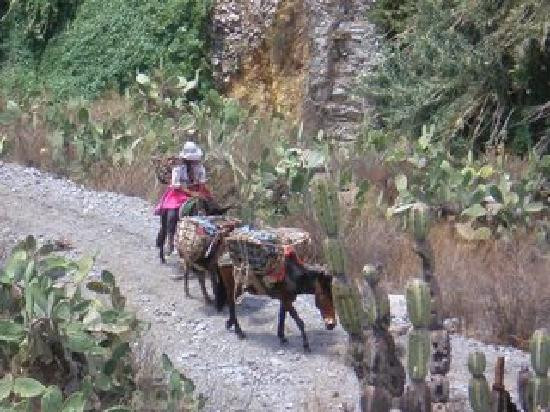 Colca Canyon-Arequipa Region必去景点