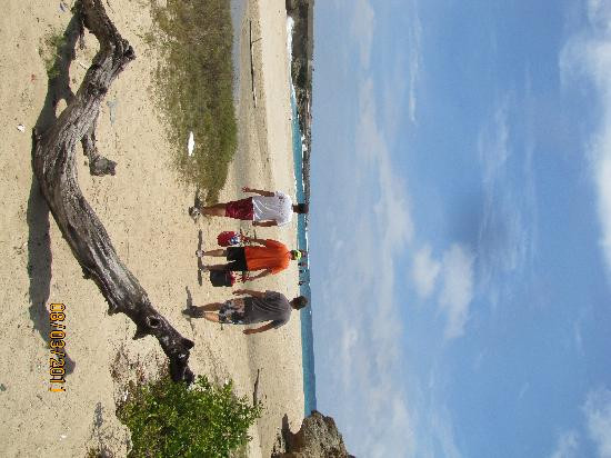 Madi Magical Tours-Santa Cruz必去景点