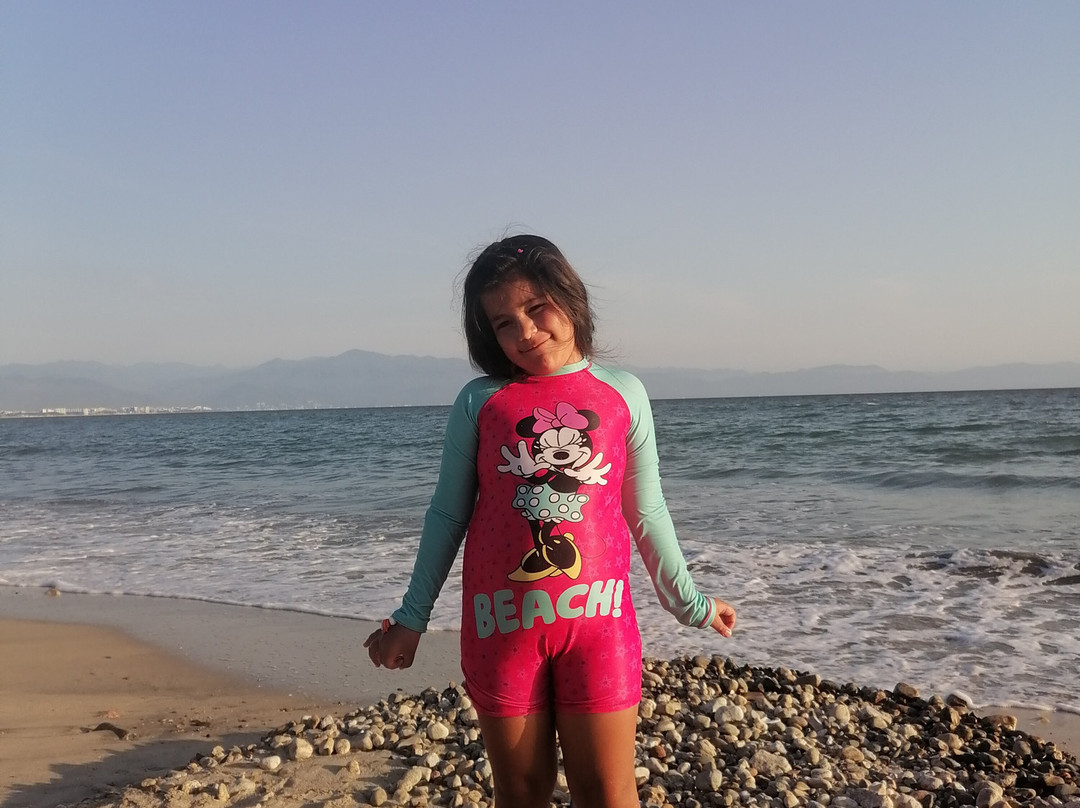 Los Picos Hotel & Suites Bucerias主图