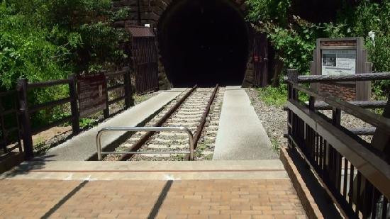 Ohikage Tunnel Walkway景点图片