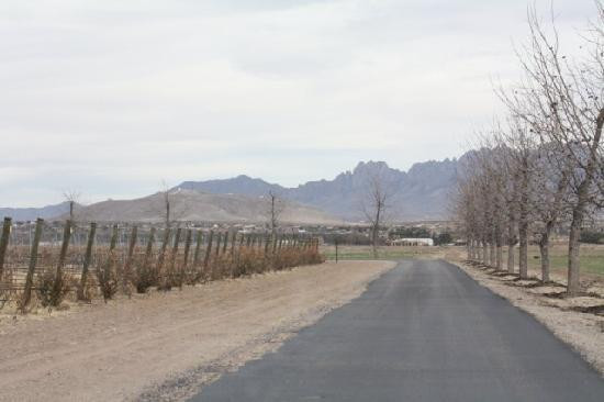 Rio Grande Vineyards and Winery-Mesilla必去景点