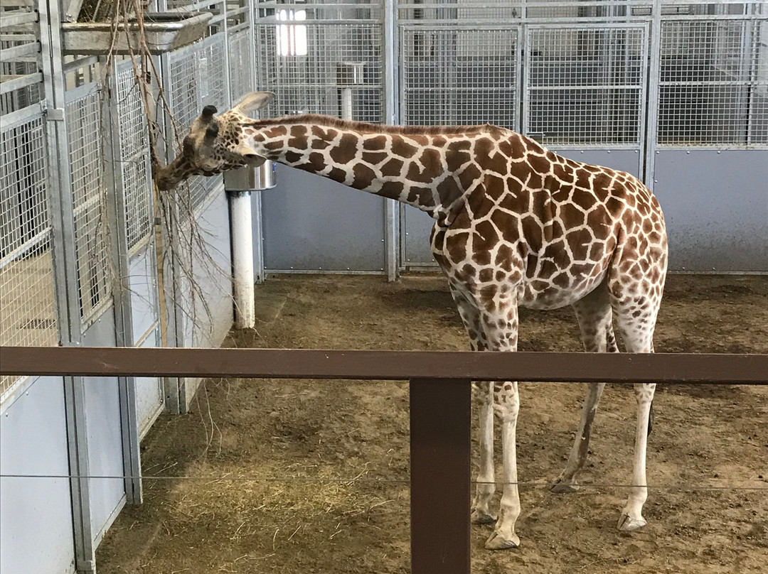 Topeka Zoo and Conservation Center-托皮卡必去景点