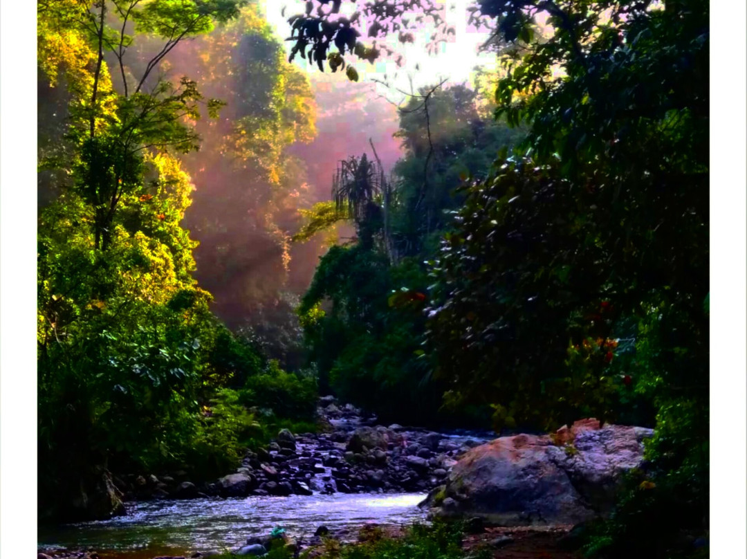 Sumatra Ketambe Jungle Tours景点图片