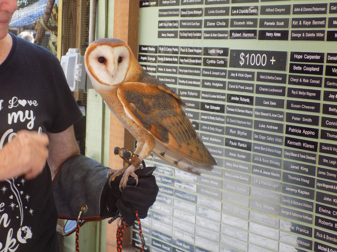 Peace River Wildlife Center-蓬塔戈尔达必去景点