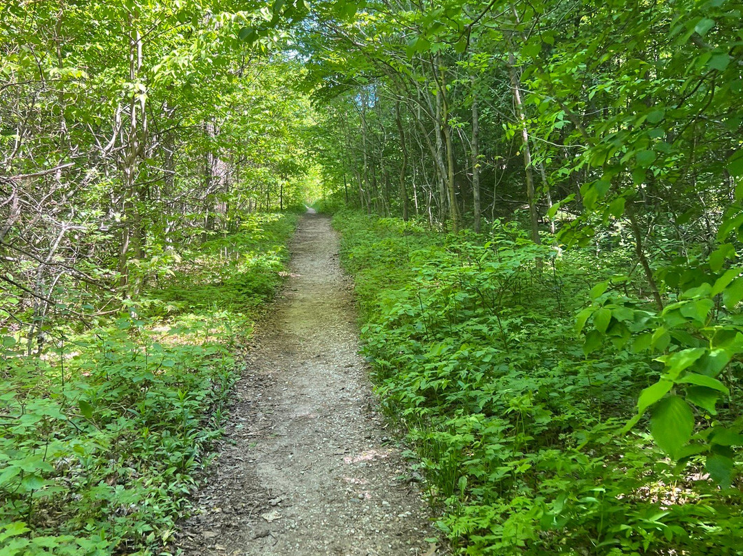 Arcadia Dunes CS Mott Nature Preserve-Arcadia必去景点