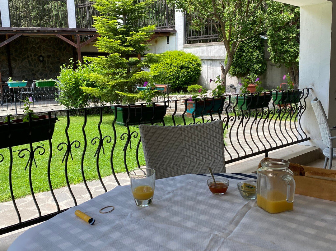 Villa Vodno主图