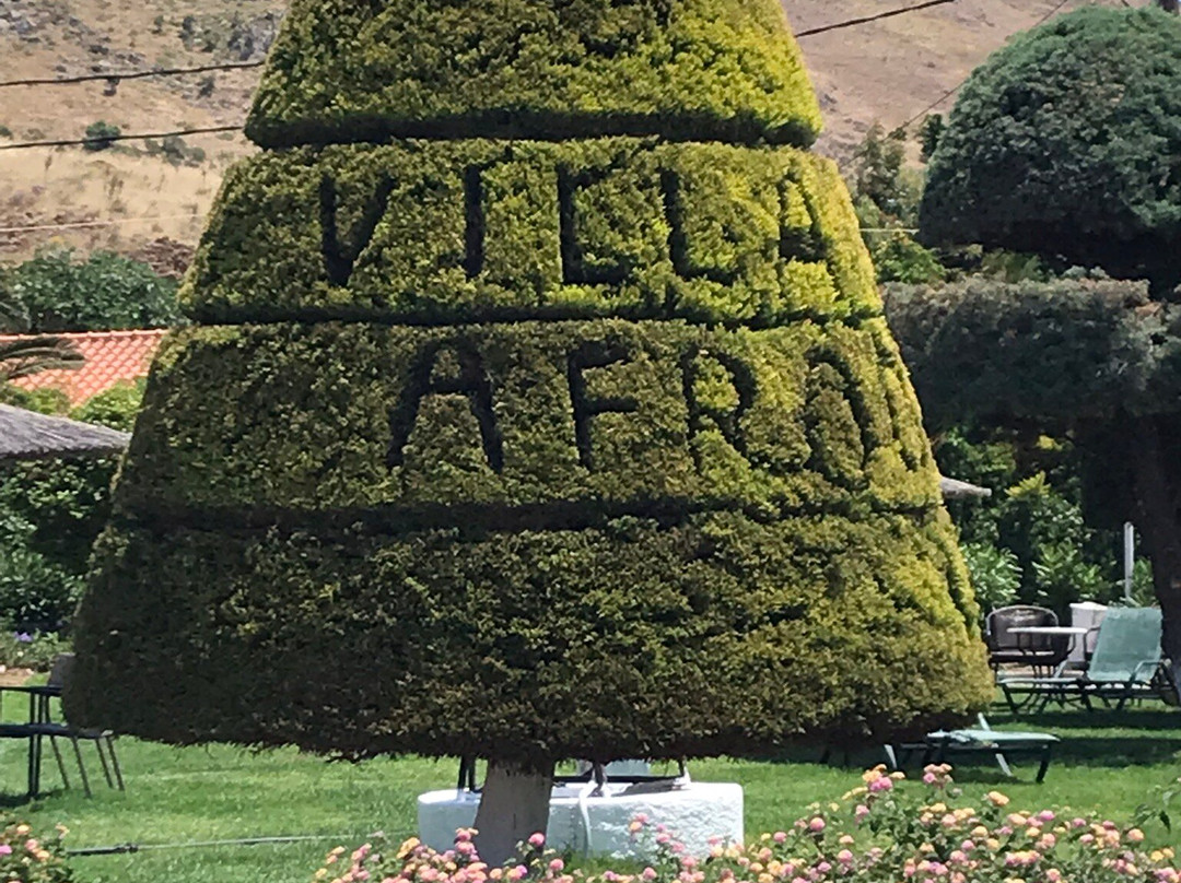 Hotel Afroditi Villa主图