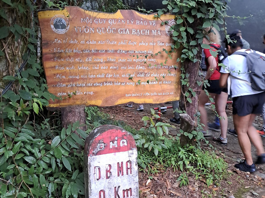 Viet Nam Travel-会安必去景点