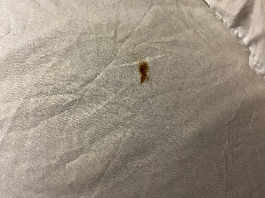 Quality Inn Bridgeport-Clarksburg主图