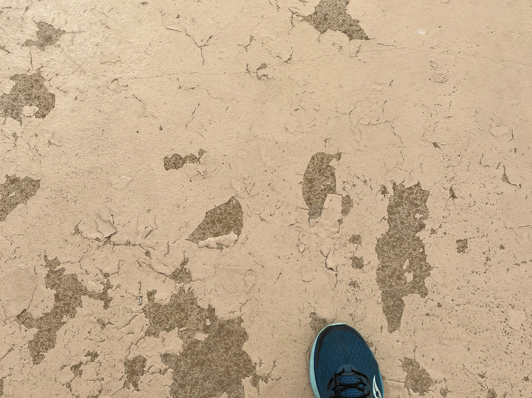 Hyatt Place Detroit/Auburn Hills主图