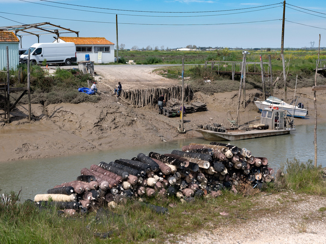 Port Ostréïcole De Marennes景点图片
