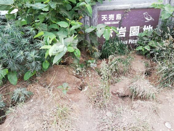 Akaiwa Observatory-羽幌町必去景点