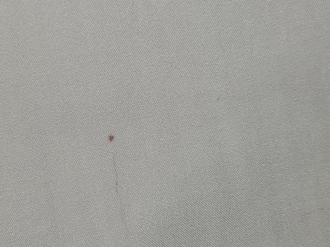 Holiday Inn Express & Suites Indianapolis W - Airport Area by IHG主图