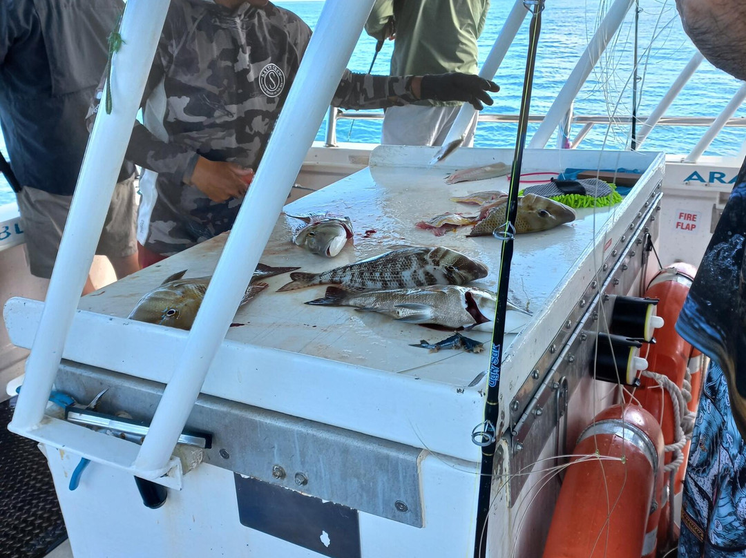 Arafura Bluewater Charters-达尔文市必去景点